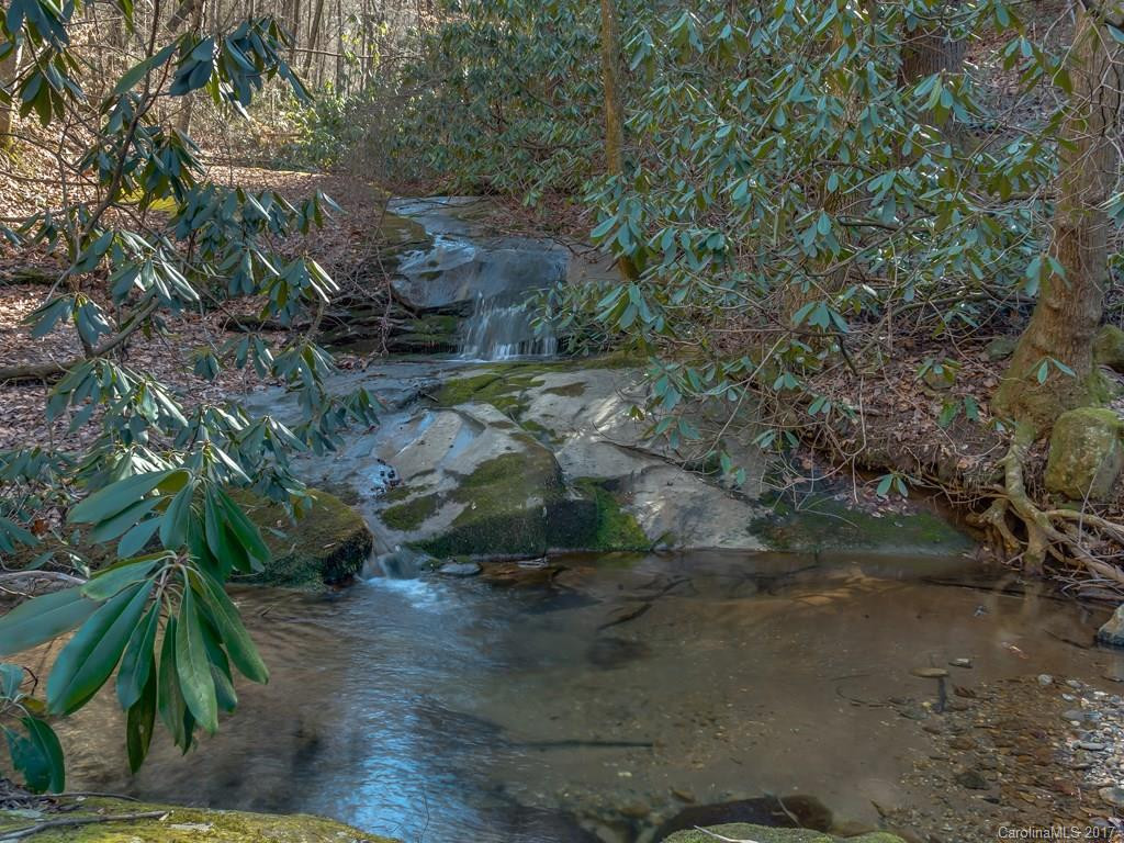 2208 Green River Cove Road - Photo 21