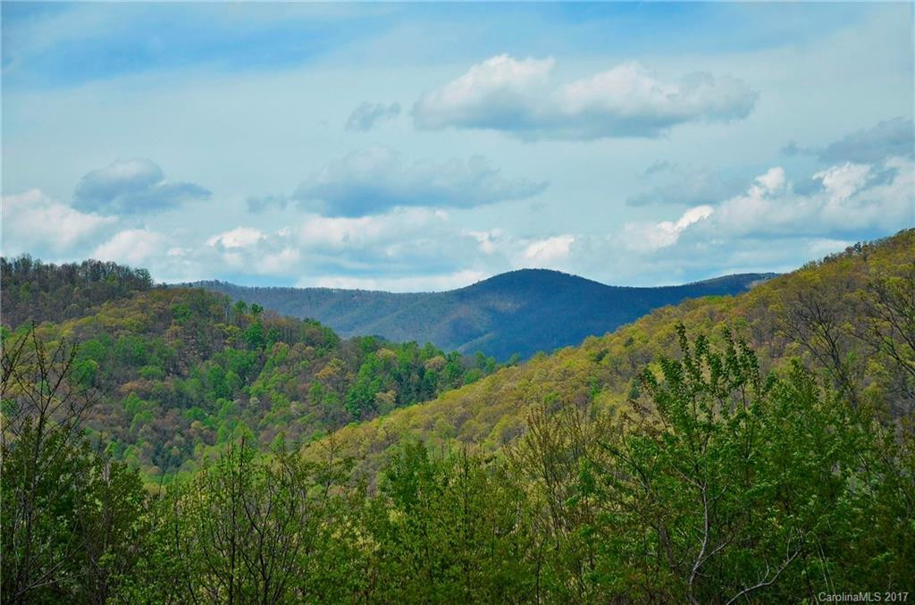 19 Rons Ridge - Photo 4