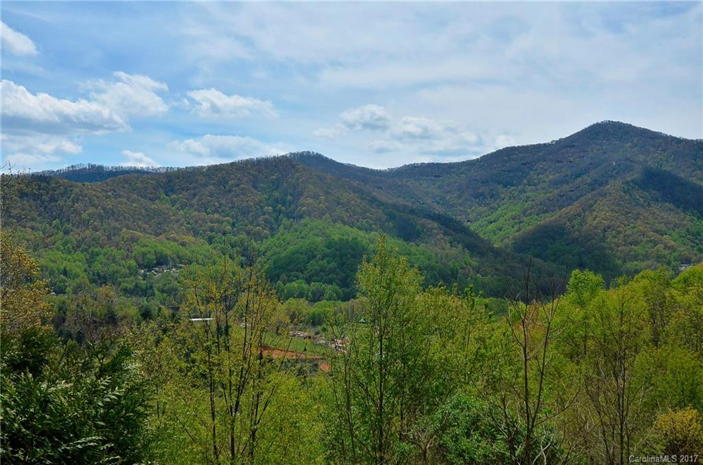 19 Rons Ridge - Photo 9