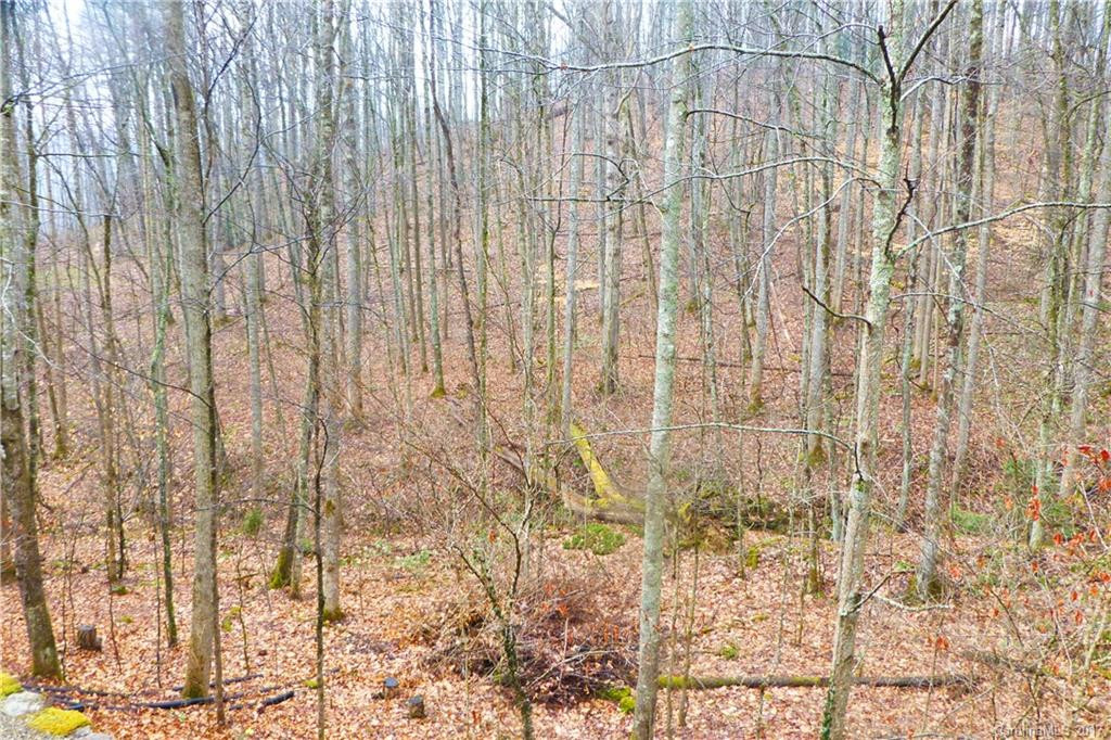 1496 Fern Trail - Photo 21