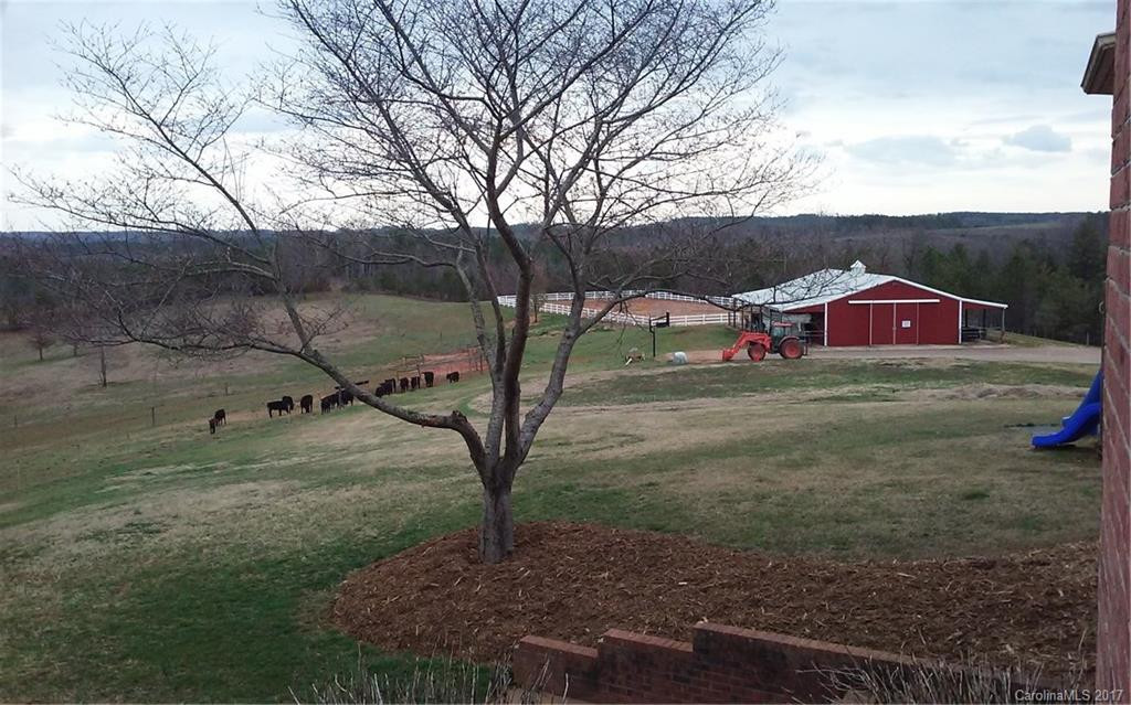 517 Cub Creek Road - Photo 4