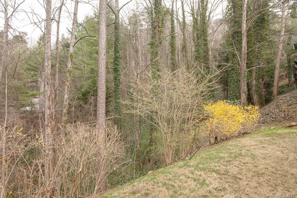 30 Leisure Mountain Road - Photo 5