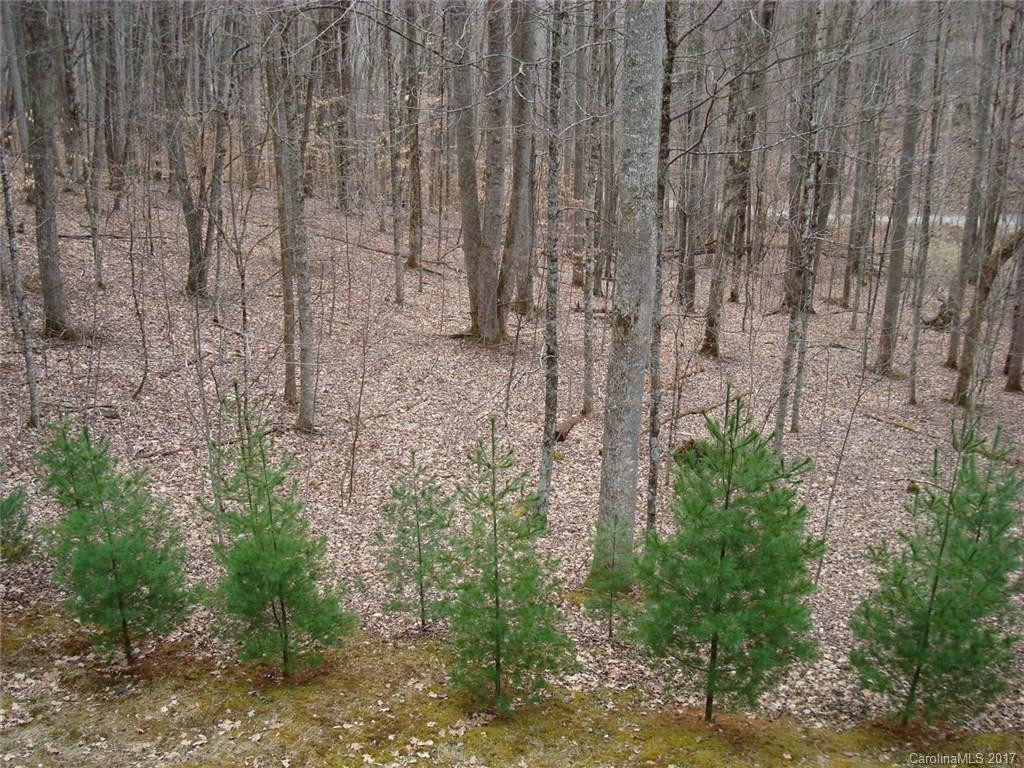 440 English Ridge Drive #24 - Photo 22