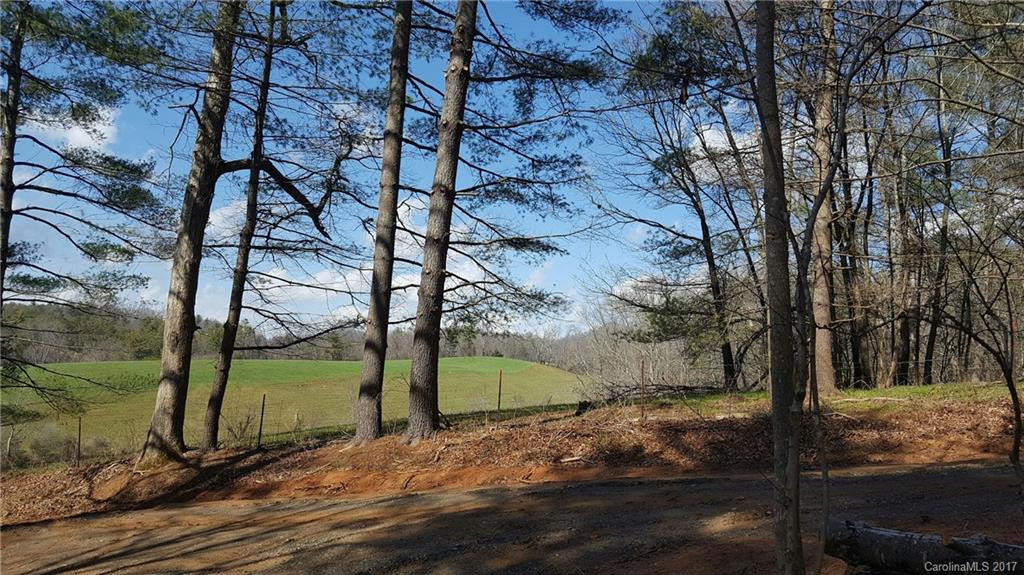 1427 Kelly Hunter Road - Photo 4