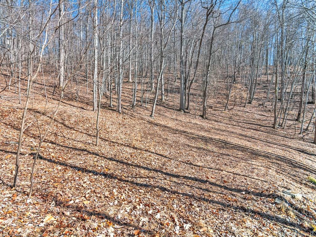 840 Stoney Stream Lane #148 - Photo 3