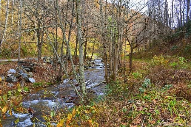 2100 Bald Mountain Road - Photo 9