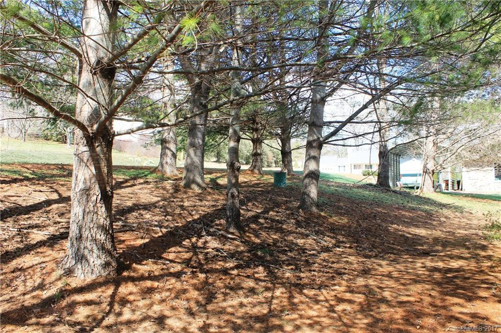 42 Cane Creek Circle - Photo 4