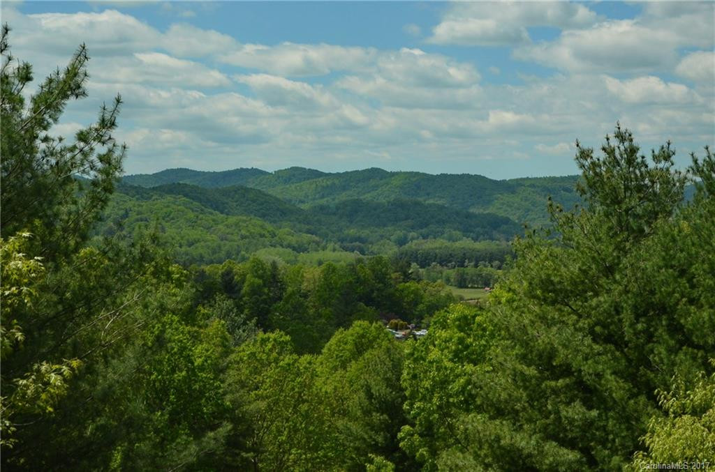 4521 Cove Loop Road - Photo 2