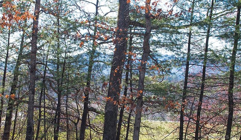 14 Canyon Cove - Photo 22
