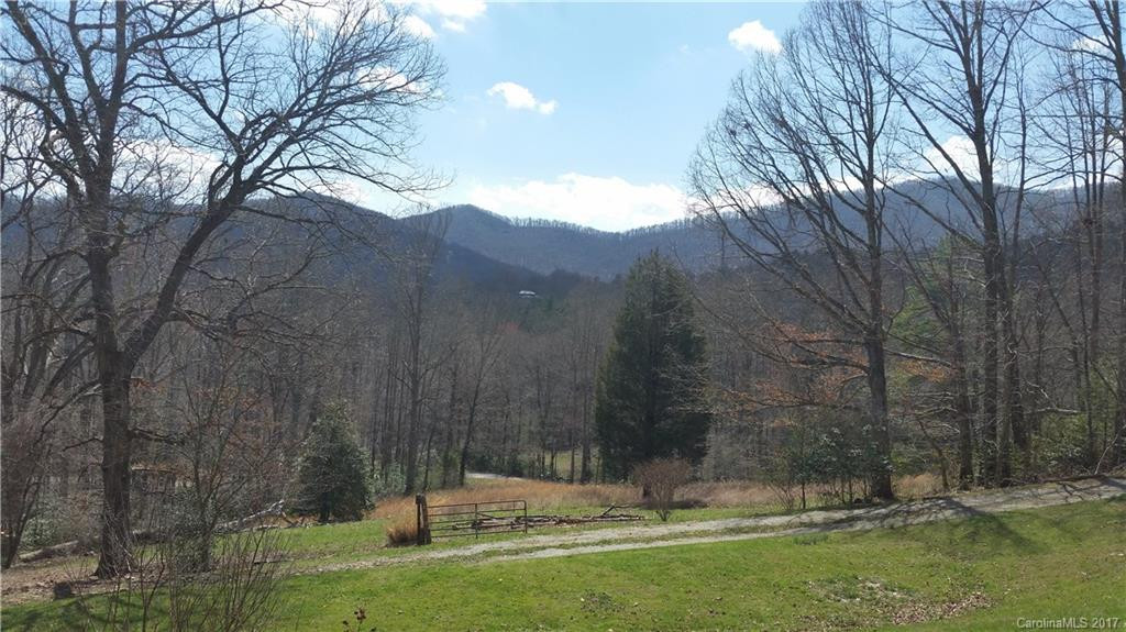 243 Sleepy Gap Road - Photo 2