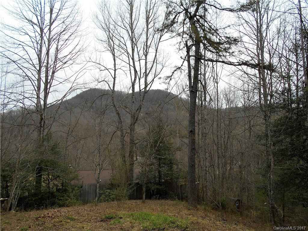 100 Blue Ridge Shadows Drive - Photo 2