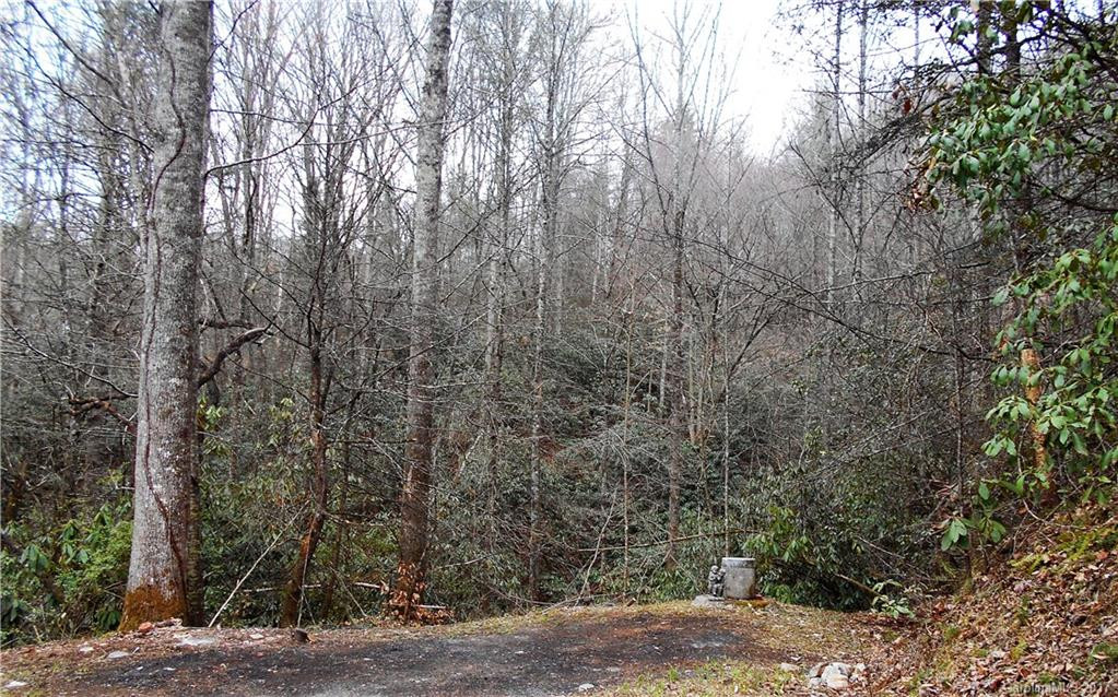 100 Blue Ridge Shadows Drive - Photo 23