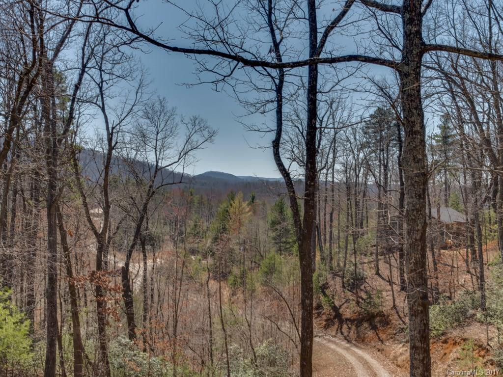 462 Deep Woods Lane - Photo 16