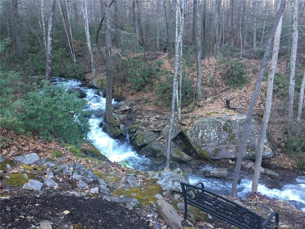 1 Laurel Branch Drive #820 - Photo 4