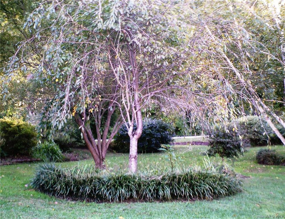 45 Old Gap Creek Road - Photo 22