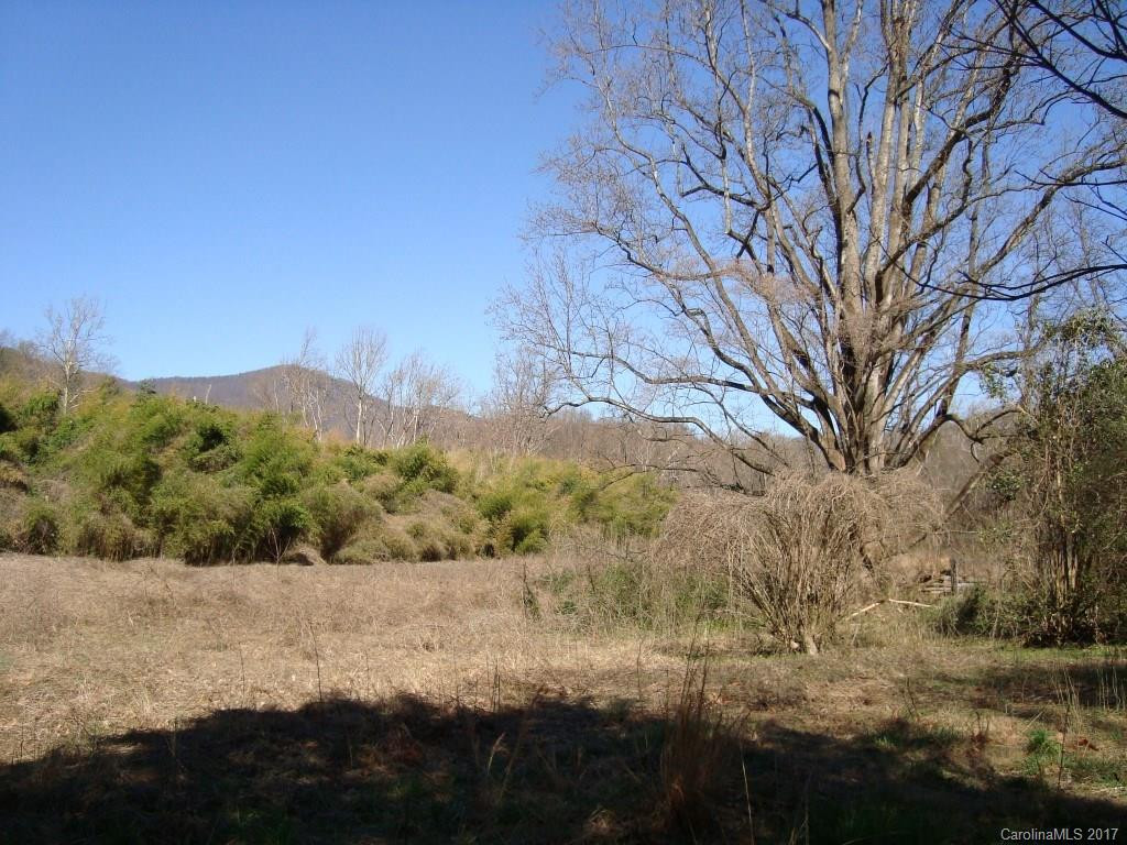 1454 US Hwy 176 Highway - Photo 12