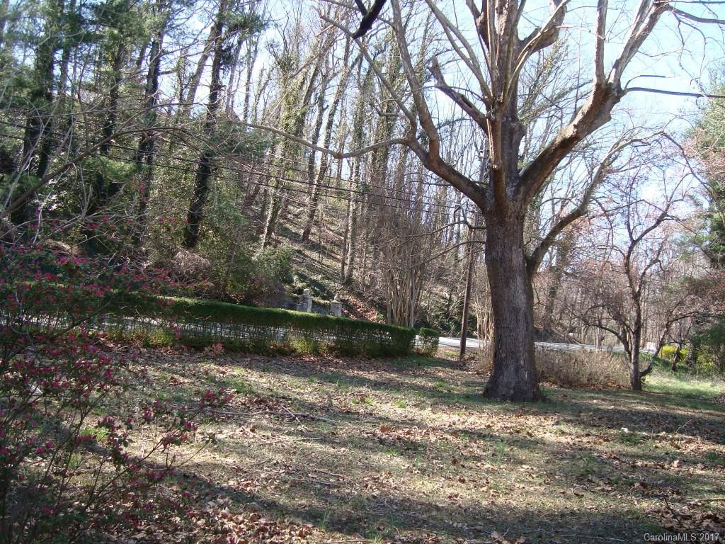 1454 US Hwy 176 Highway - Photo 19