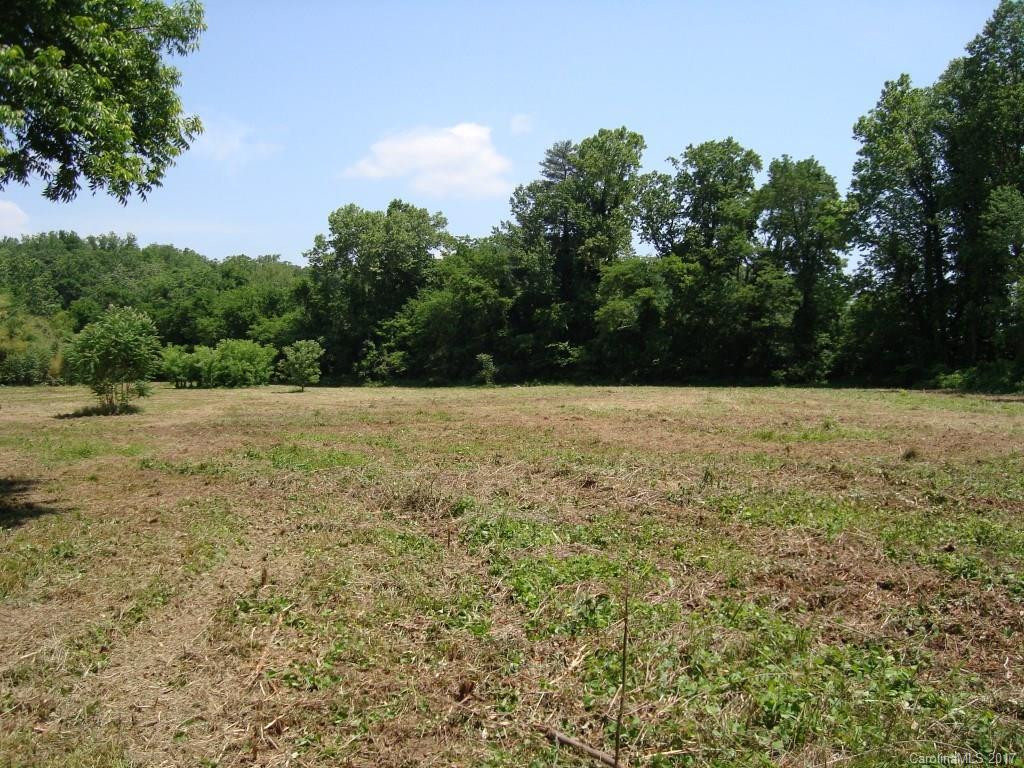 1454 US Hwy 176 Highway - Photo 5