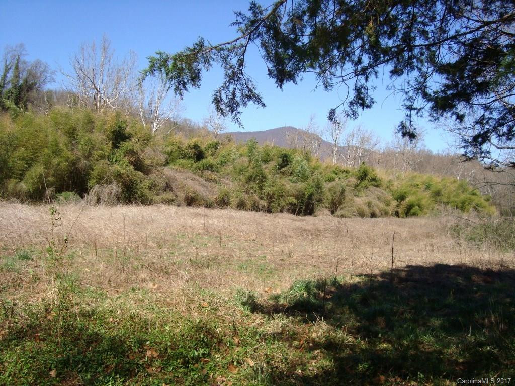 1454 US Hwy 176 Highway - Photo 7
