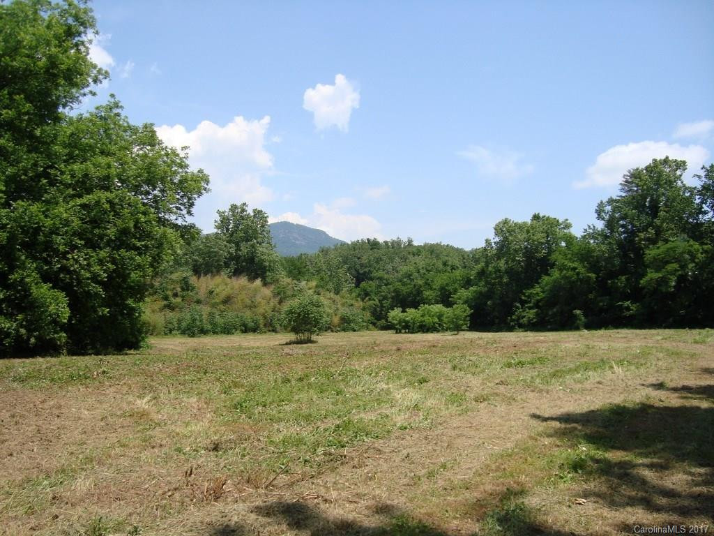 1454 US Hwy 176 Highway - Photo 8