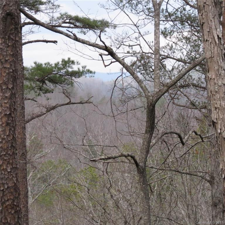 541 Cove Creek Drive - Photo 12