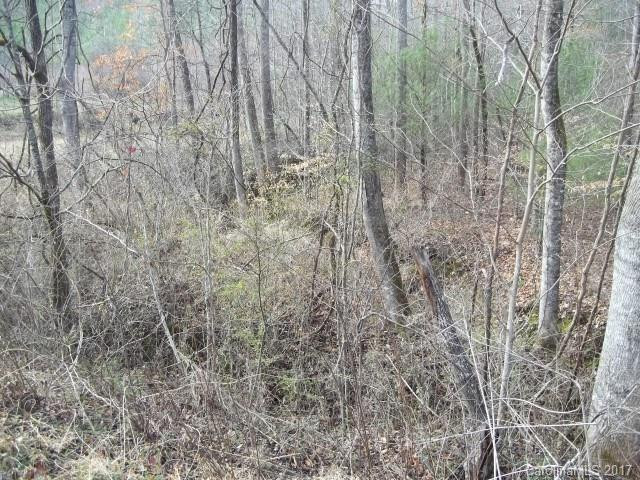 740 Fork Road - Photo 5