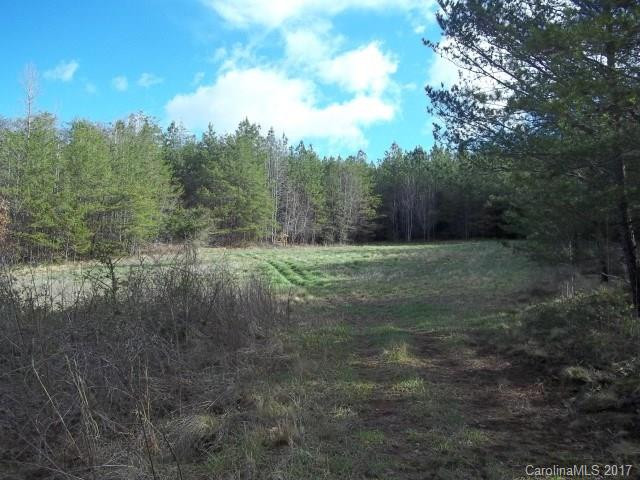 740 Fork Road - Photo 10