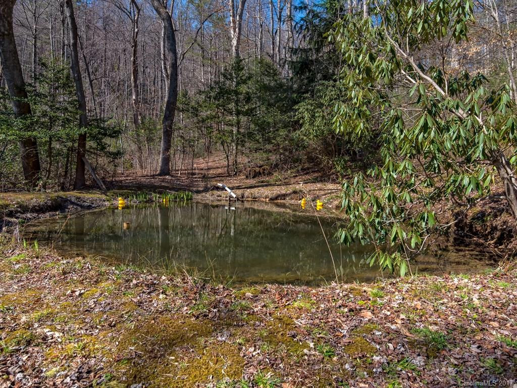 992 Mountain Page Road - Photo 23