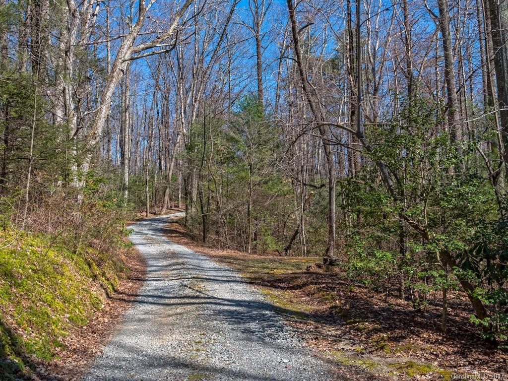 992 Mountain Page Road - Photo 24