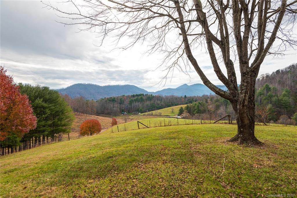 165 Worley Cove Road - Photo 3