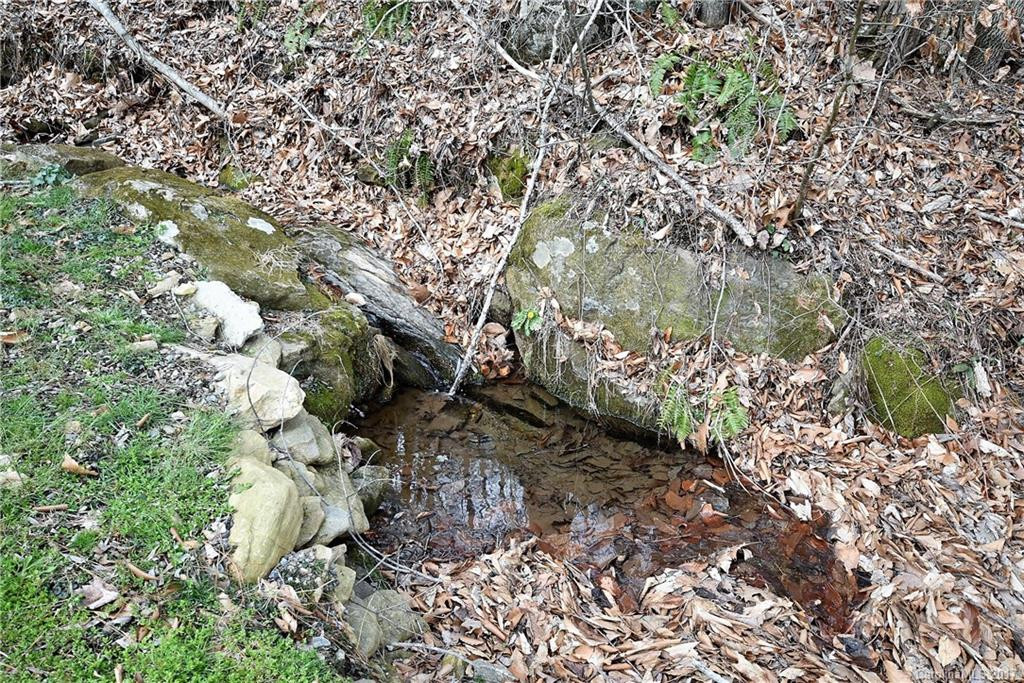 368 Sugar Mountain Road #222 - Photo 6
