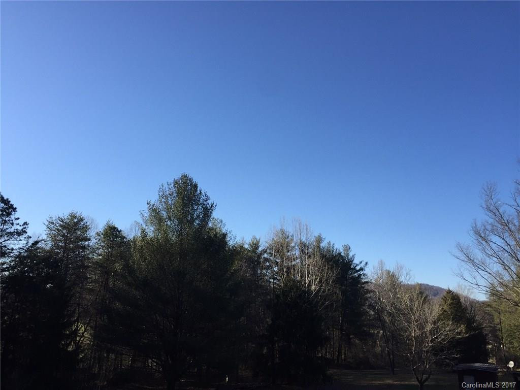 458 Yellow Rose Lane - Photo 18