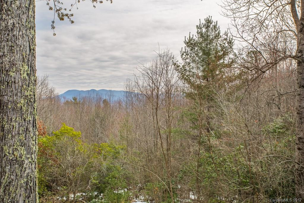 1742 Pisgah Forest Drive - Photo 4