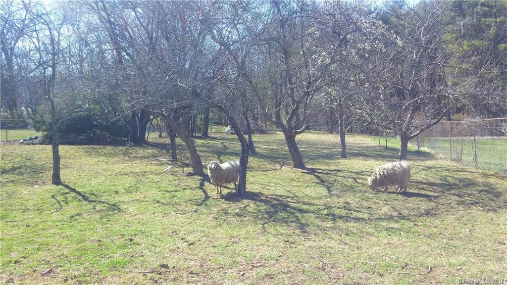 271 Pisgah View Road - Photo 17