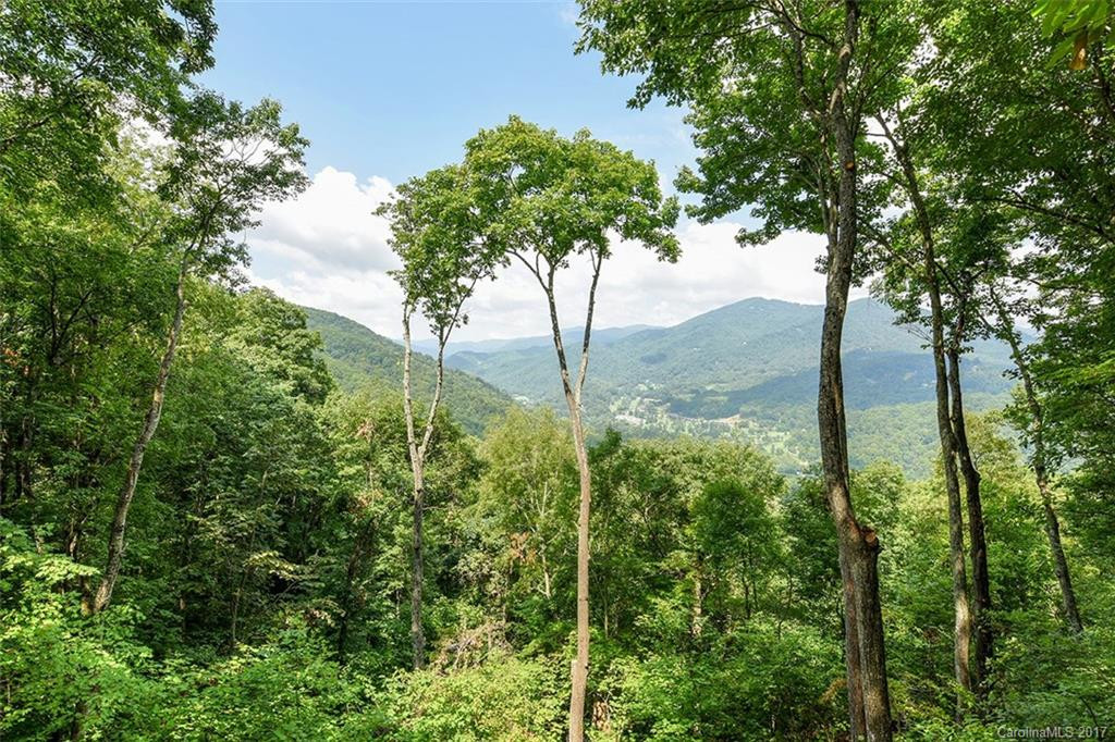 339 Tsalagi Trail - Photo 19