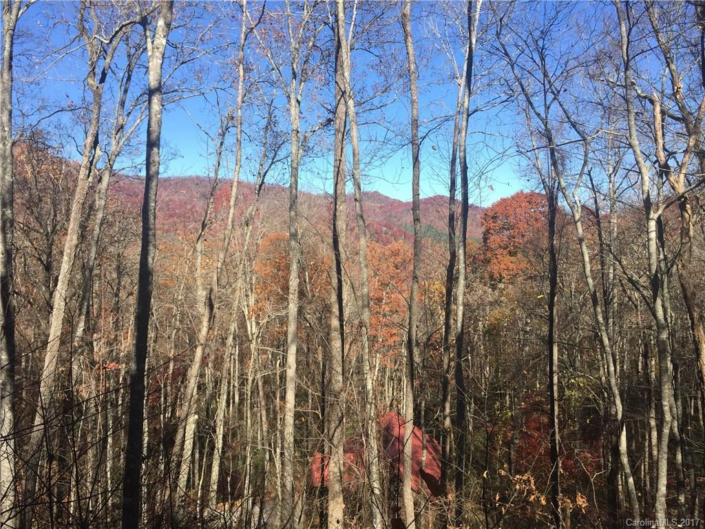 1822 Bettys Creek Road - Photo 19
