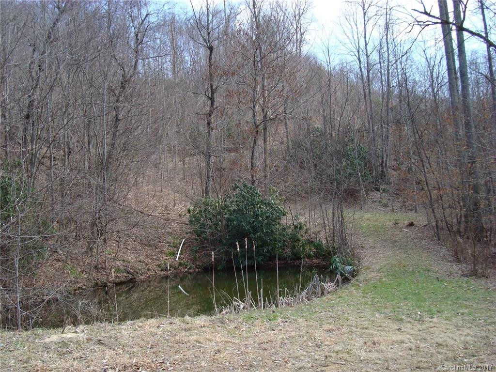 36 Hog Hollow Trail - Photo 23