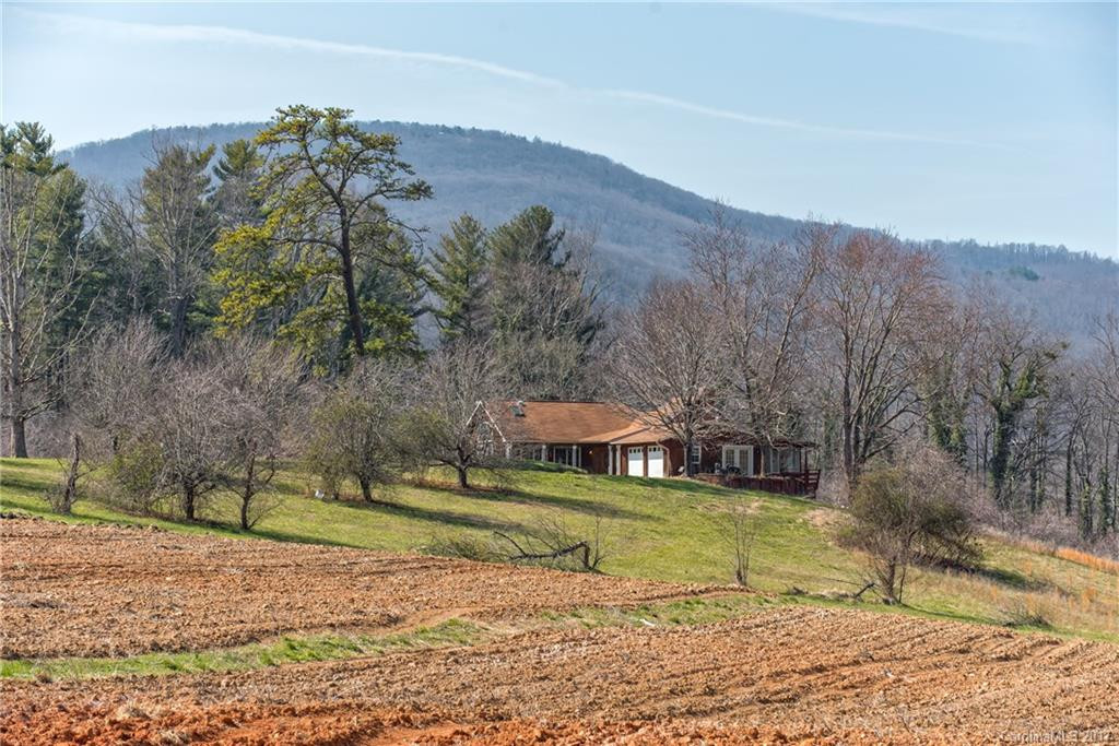 212 Whitehead Road - Photo 13