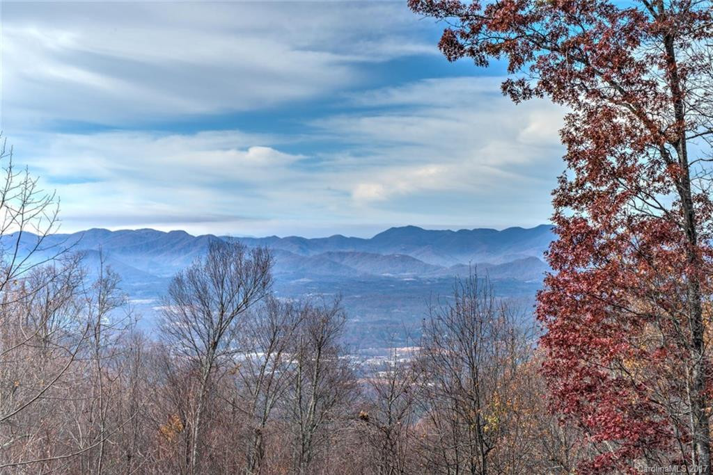 362 Gentian Trail - Photo 3