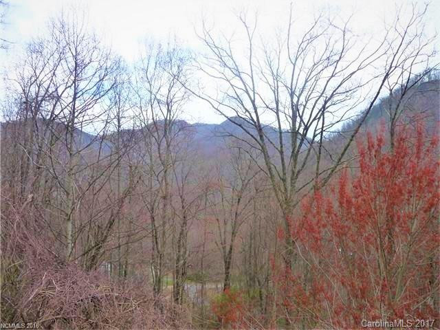505 Poplar Trail - Photo 2