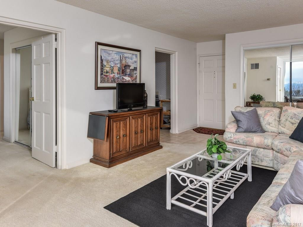 647 Town Mountain Road #506 - Photo 10