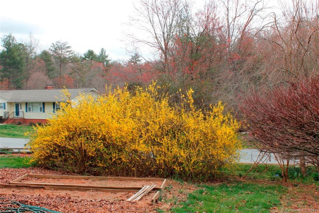 142 Whisperwood Drive #19 - Photo 4