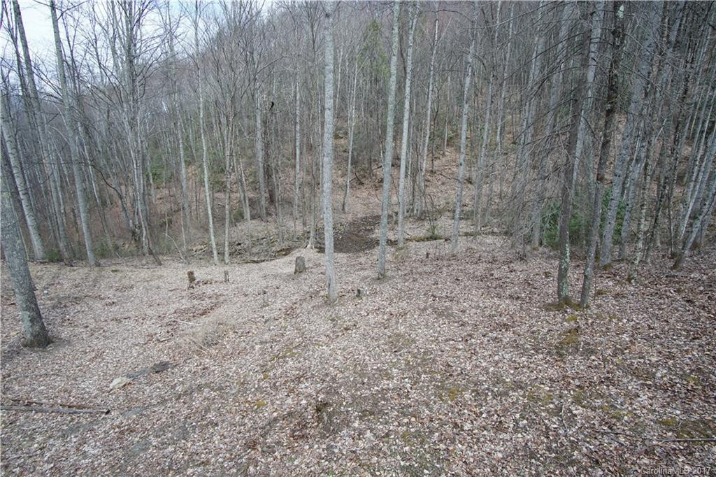 241 Lewis Drive - Photo 12