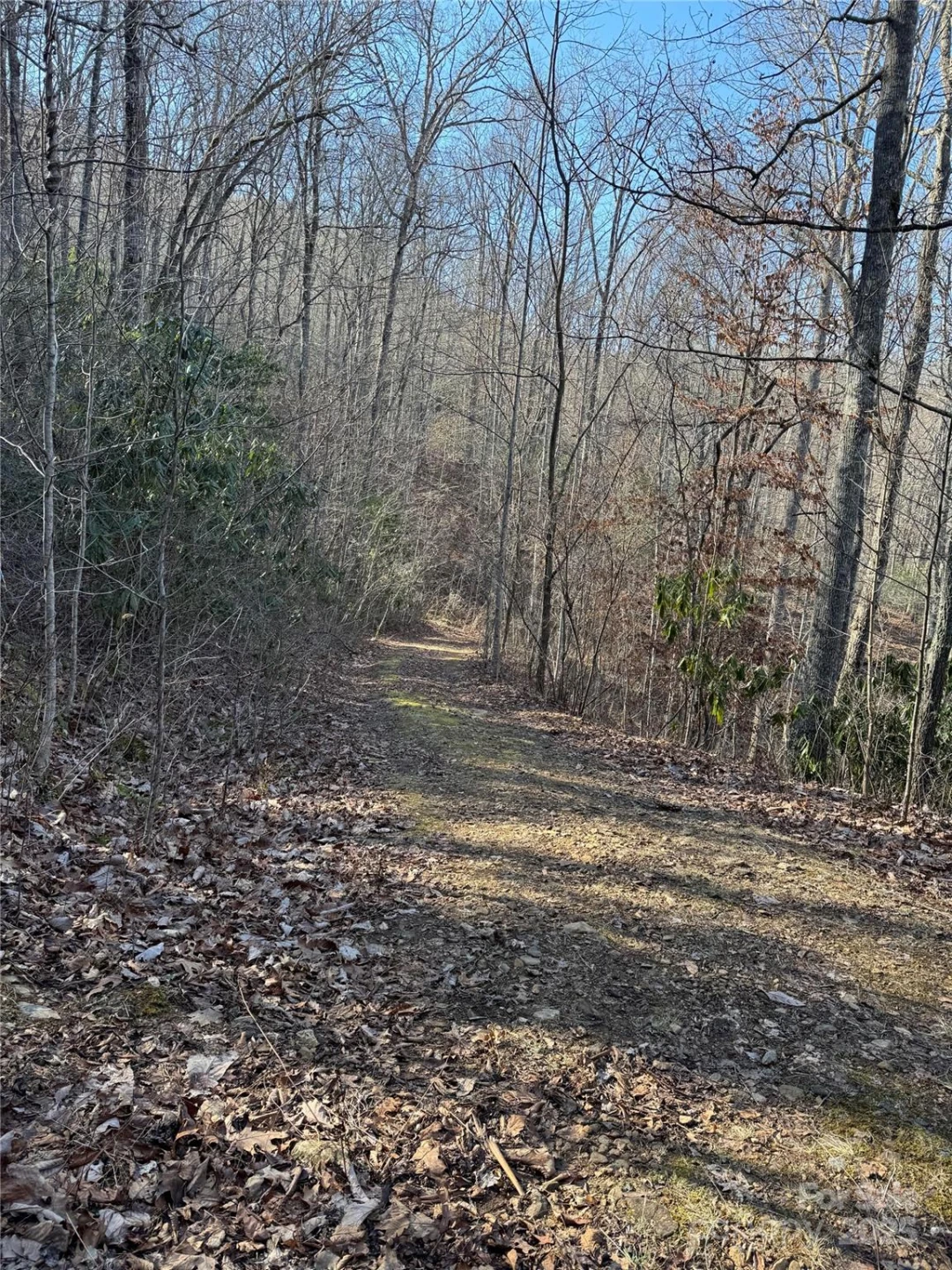 Lot #41 Country Club Drive #41