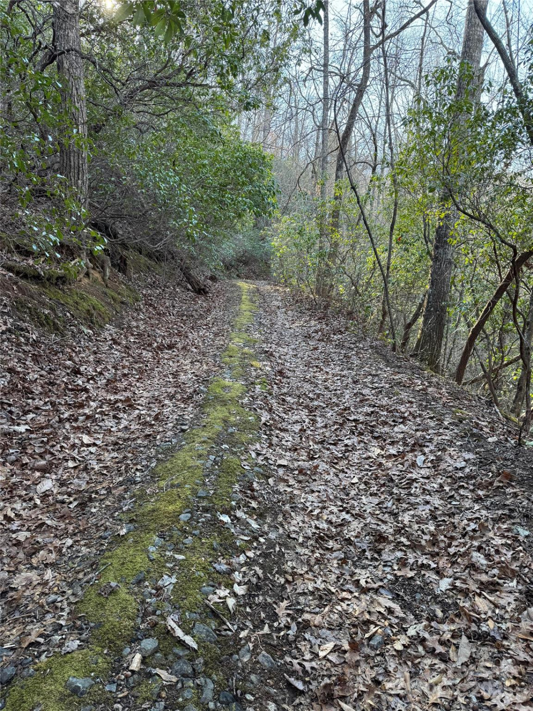 Lot #41 Country Club Drive #41 - Photo 3