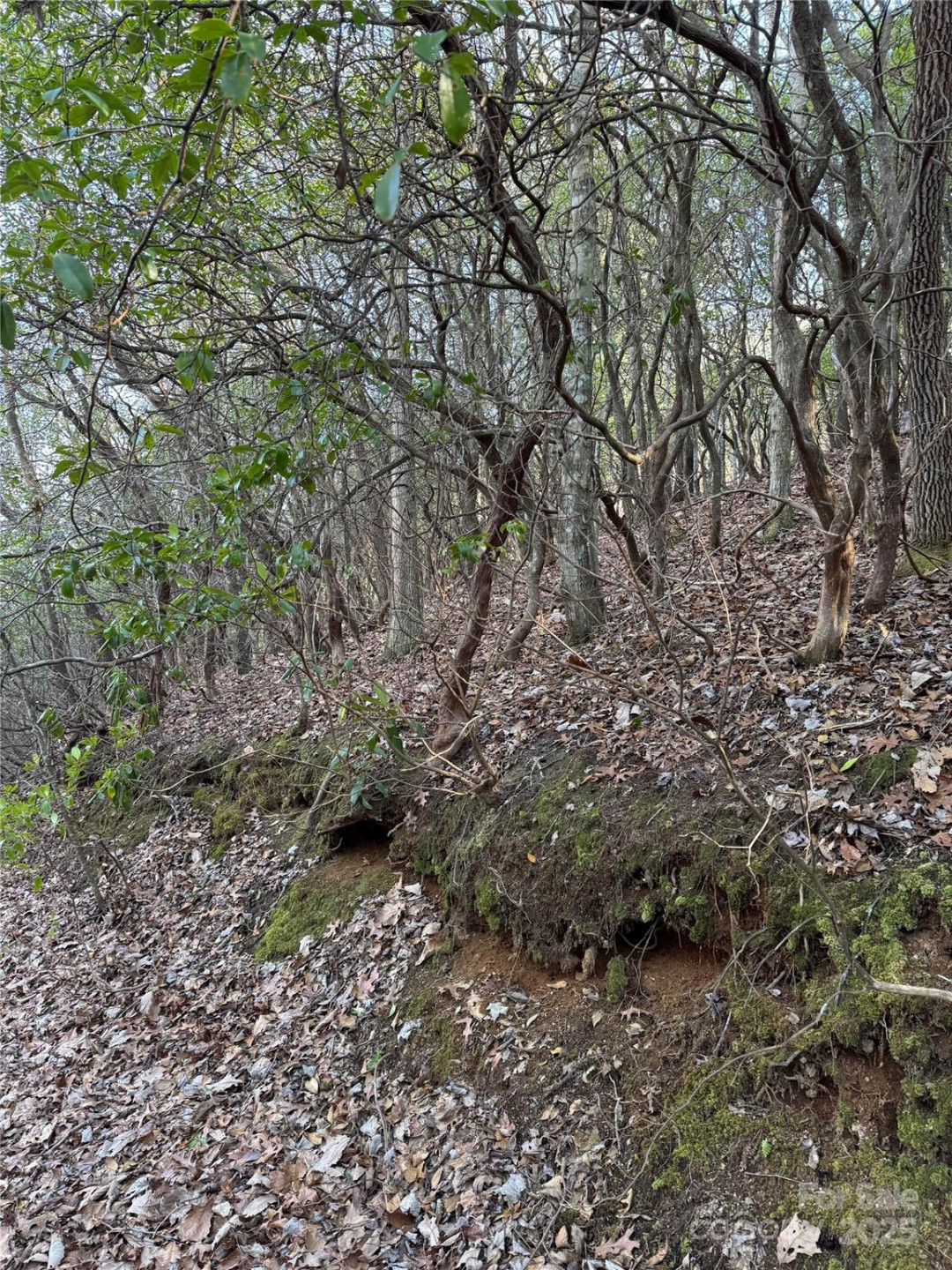 Lot #41 Country Club Drive #41 - Photo 4