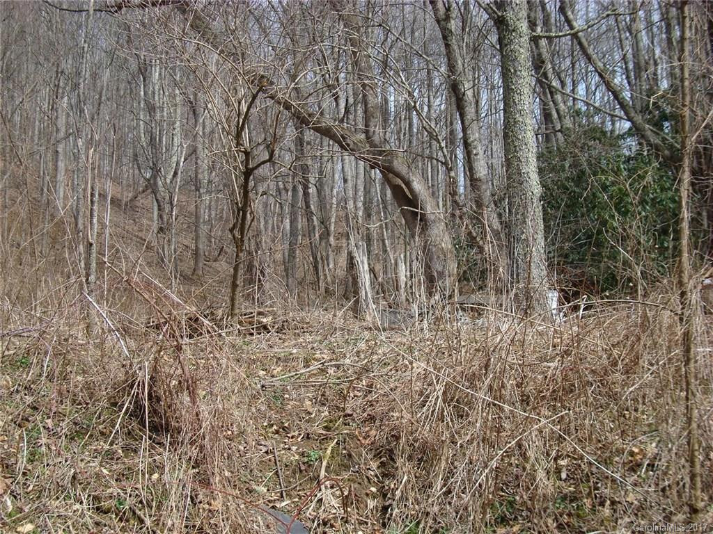 4858 Puncheon Fork Road - Photo 15