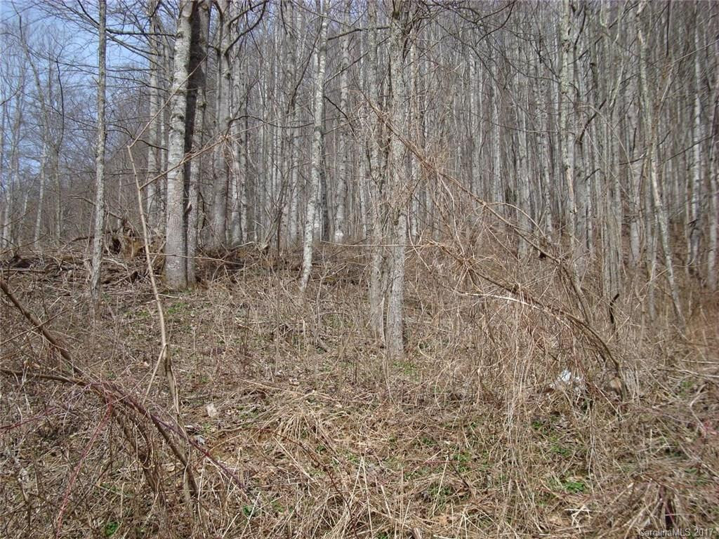 4858 Puncheon Fork Road - Photo 16