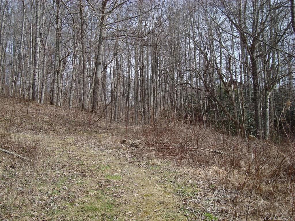 4858 Puncheon Fork Road - Photo 7