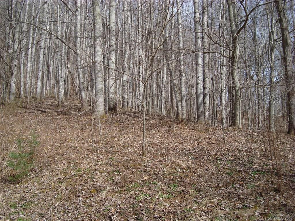 4858 Puncheon Fork Road - Photo 9
